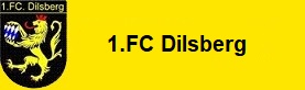 1.FC Dilsberg